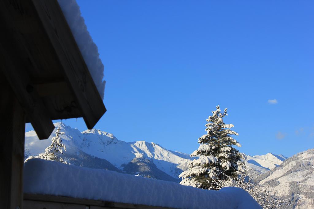 Ferienwohnung Lasshofer Sankt Michael im Lungau Dış mekan fotoğraf
